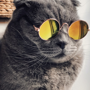 再深点灬舒服灬太大了少妇
