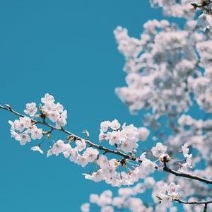 再深点灬舒服灬太大了少妇
